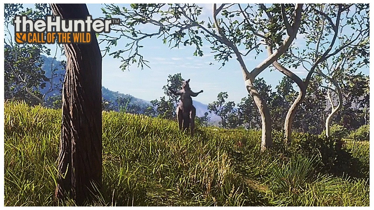 Exploring Emerald Coast on The Hunter: COTW
