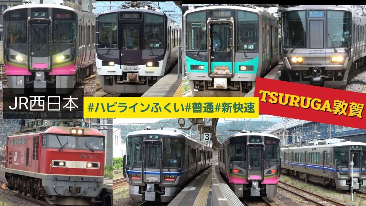 JR西日本 ハピラインふくい 敦賀駅 / 新快速電車 普通 午前の発着ラッシュ / 接近 発車 メロディー 自動放送 / 223系 521系 125系 北陸本線 小浜線 ローカル街道 2025年6月