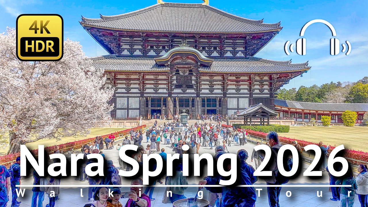 🌸 Пешеходная экскурсия по Наре весной 2026 года [4K/HDR/Бинауральное звучание]