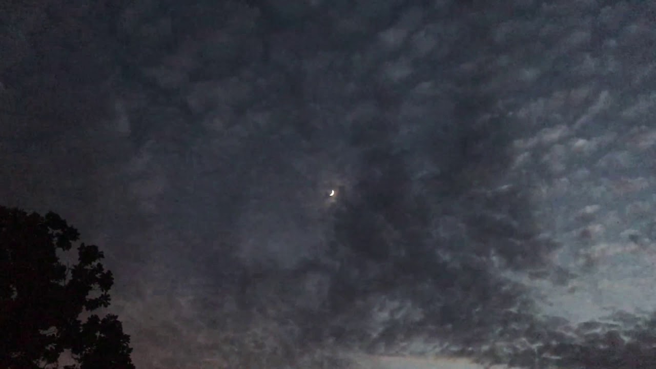 Ryan Gregory Tallman - Moonlet