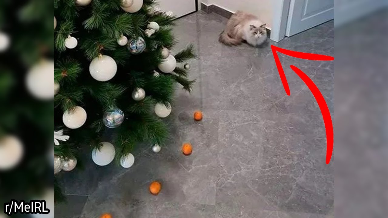 Red Arrow Is Pointing  || r/MeIRL
