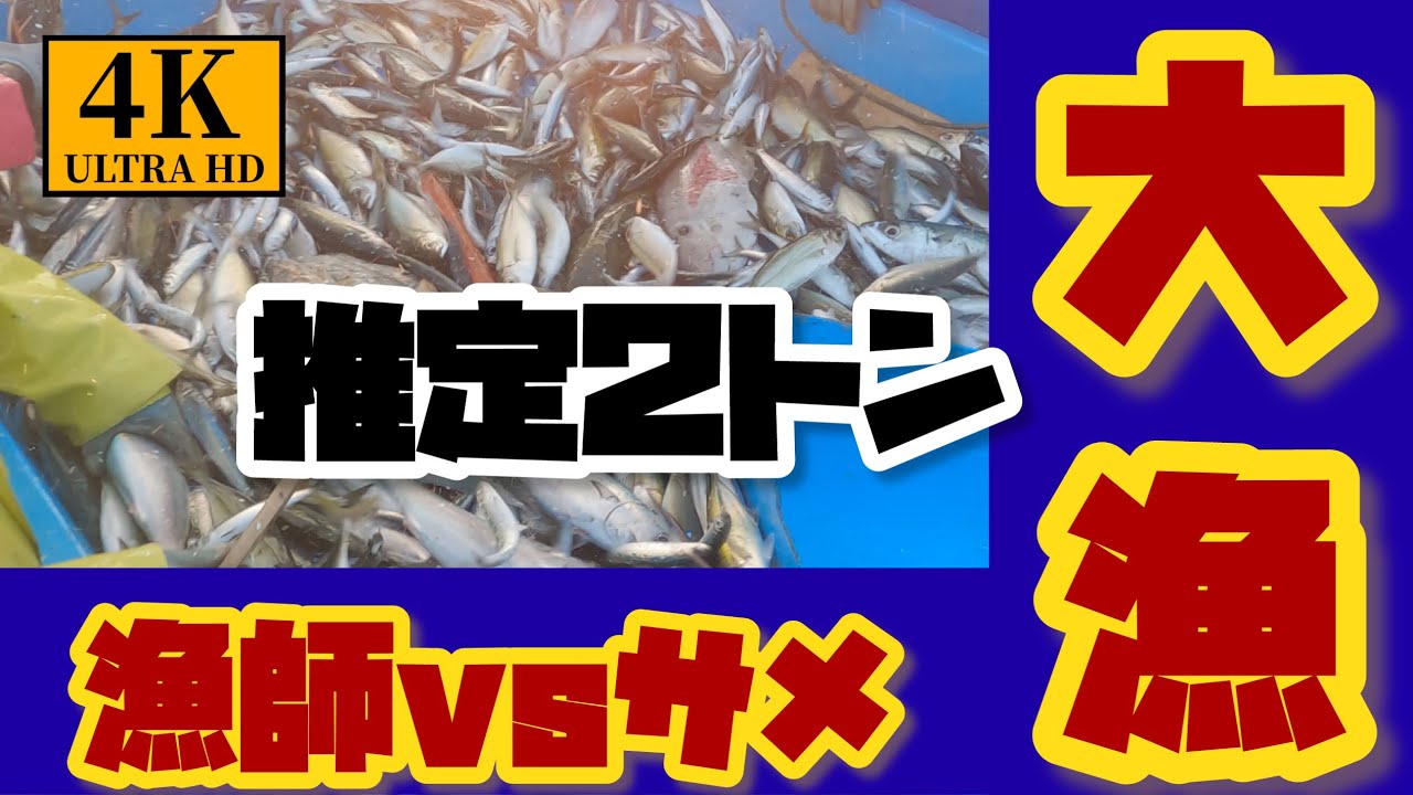 (大型定置網漁)年間1億円以上水揚げする定置網はすごい！