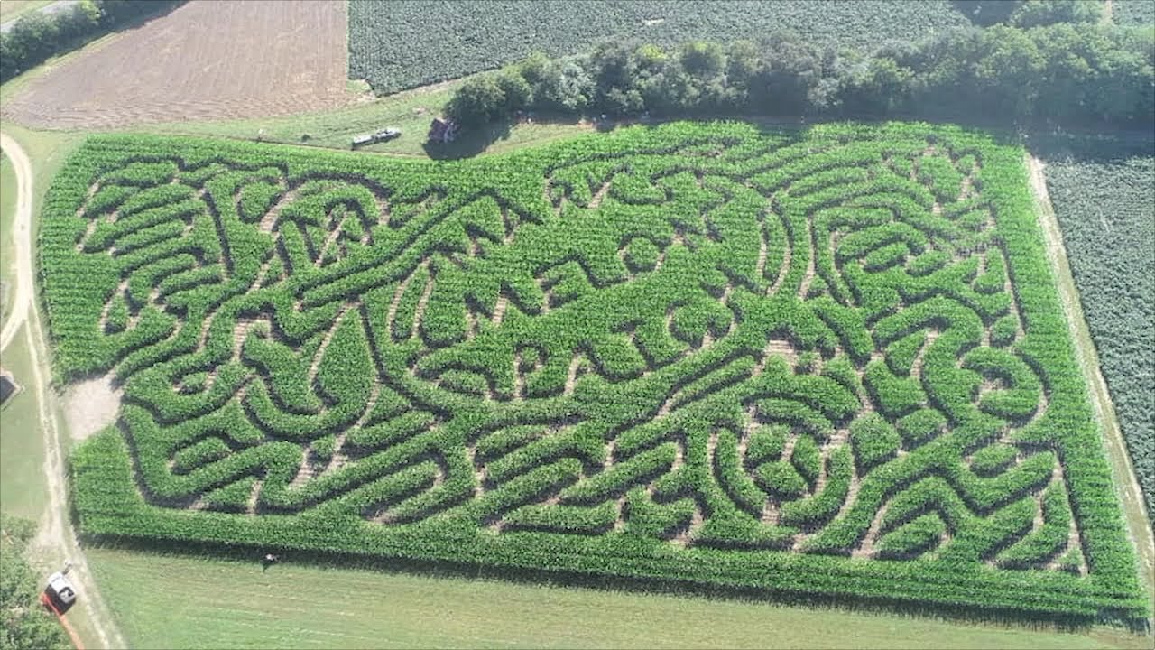 Ever Wondered How Corn Mazes Are Created?