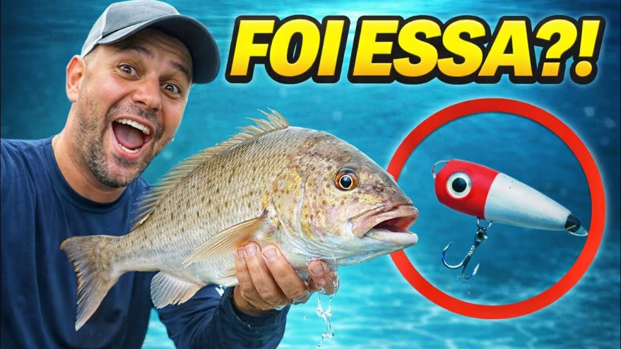Qual isca trouxe o troféu ?? [INICIANTE] #pesca #fishing #peixe 