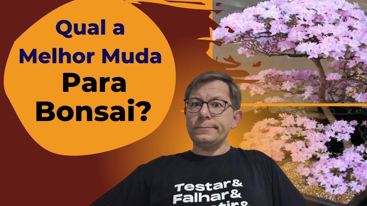 Passo a Passo - Como Fazer Bonsai de Sakura o Bonsai de Cereja