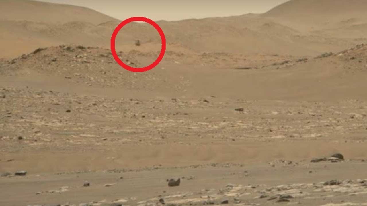 Le nuove, dettagliate immagini di Ingenuity che vola su Marte