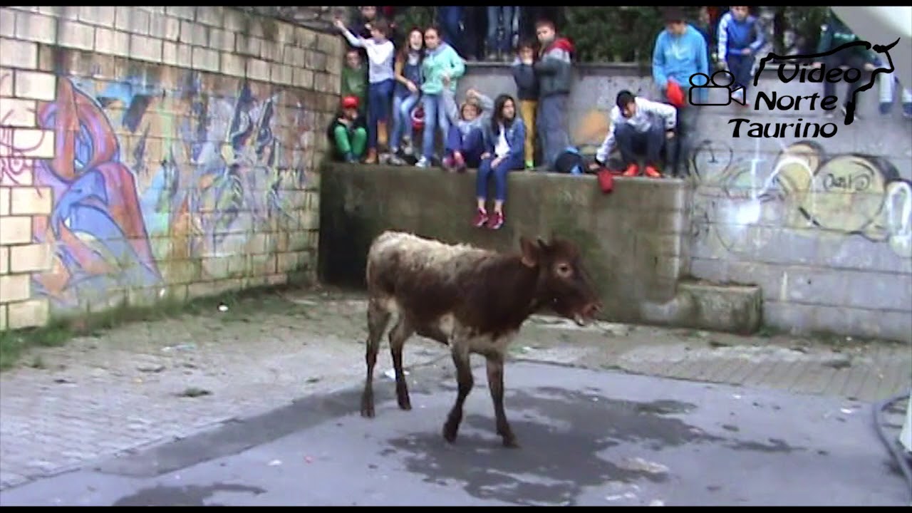 Bergara (Guipuzcoa) becerros  28-03-2015 Bergarako Zezenak