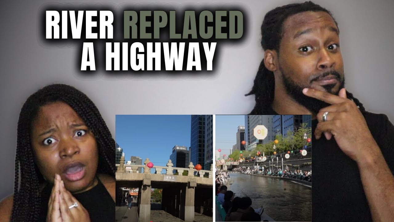 They Tore Down a Highway and Made it a River (and traffic got better) | Not Just Bikes Reaction