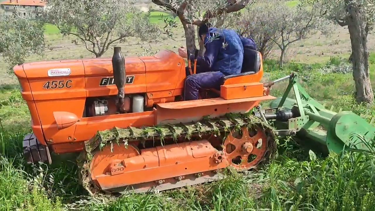 Trinciatutto, dopo la potatura degli ulivi.
