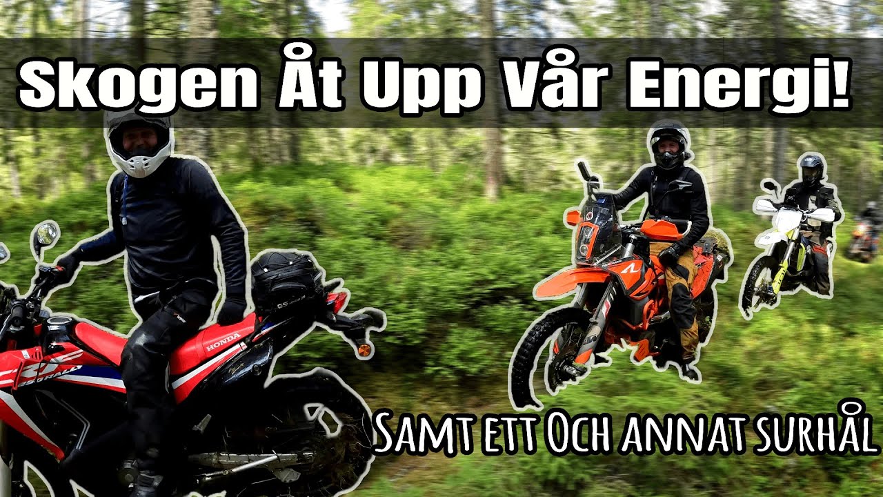 Skogen Åt Upp Vår Energi - Samt ett och annat surhål