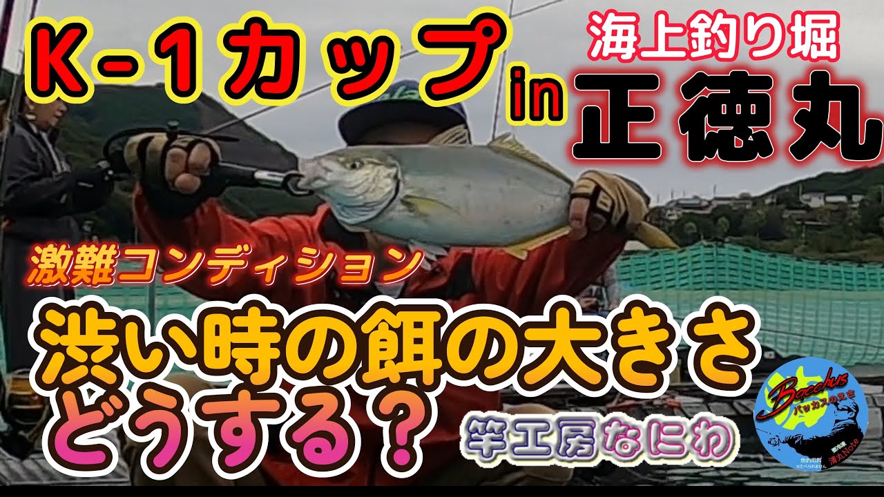 『海上釣り堀』第３回 K-1カップ in正徳丸  渋い時の餌の大きさ どうする？　※血肝の使用許可は頂いております　　　           ＃バッカスの餌  ＃清丸ベイツ ＃竿工房なにわ ＃隠岐竜雅