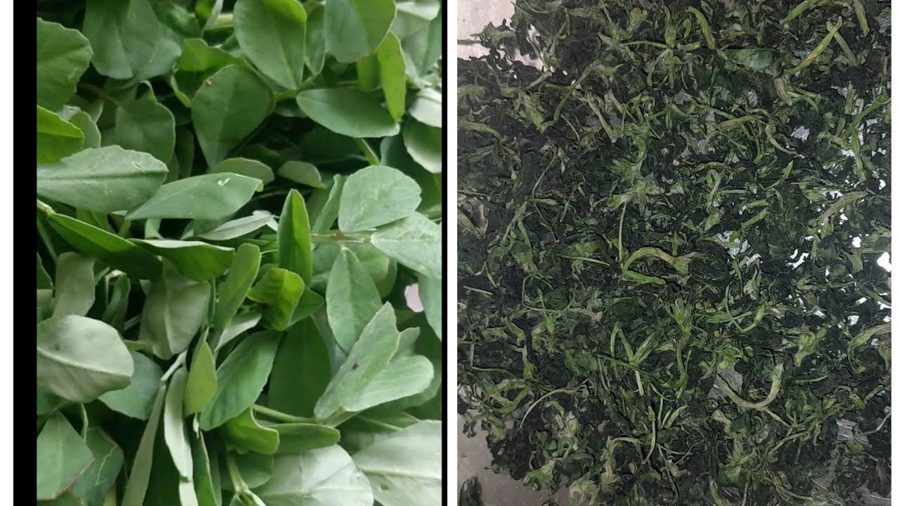 #सीजन me बनाए और pura साल.. #Archanasinghcookandcraft #ytvideo #kasurimethi #kasuri #homemade #viral
