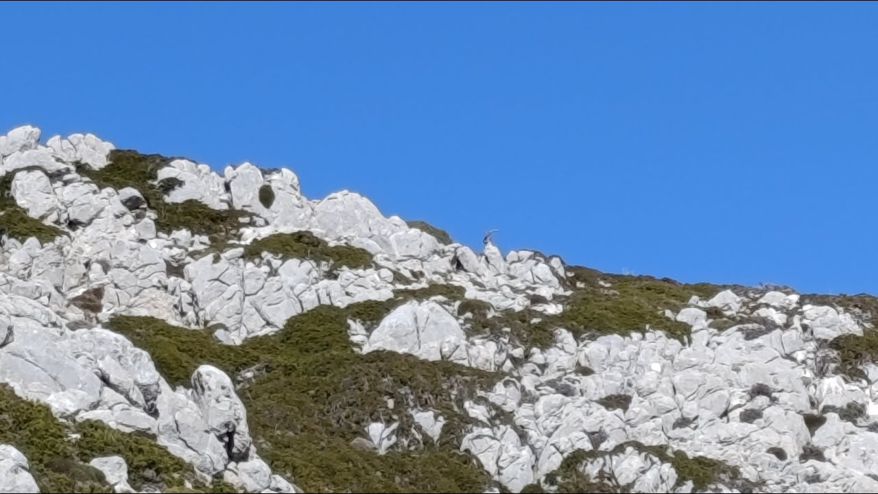 Sierra Magina 2025
