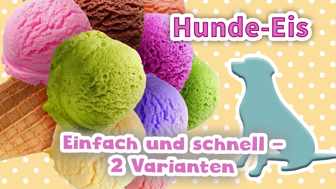 Leckeres Hunde-Eis selbstgemacht | DIY | 2 Varianten