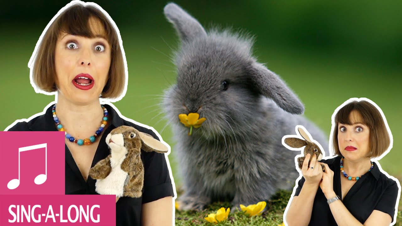 Little Bunny Foo Foo by Alina Celeste - Kids Songs