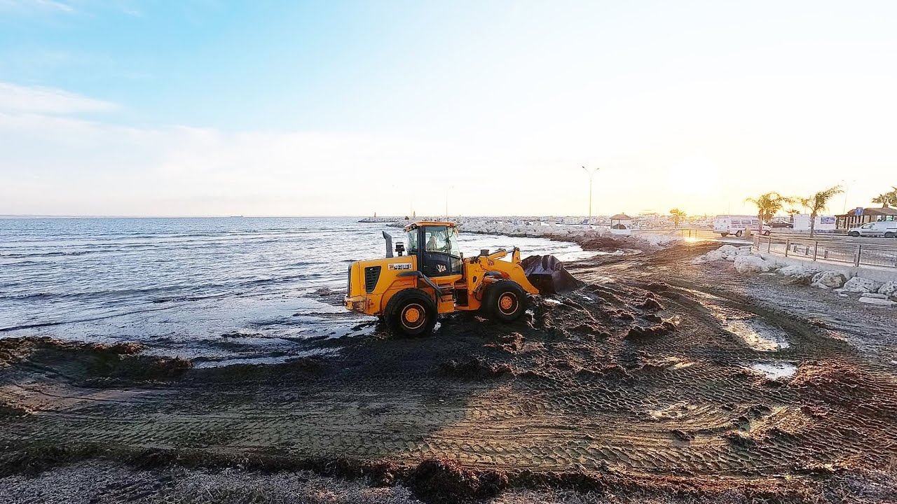 Sunrise Walk Along Finikoudes Beach, Larnaca, Cyprus 16/12/2025