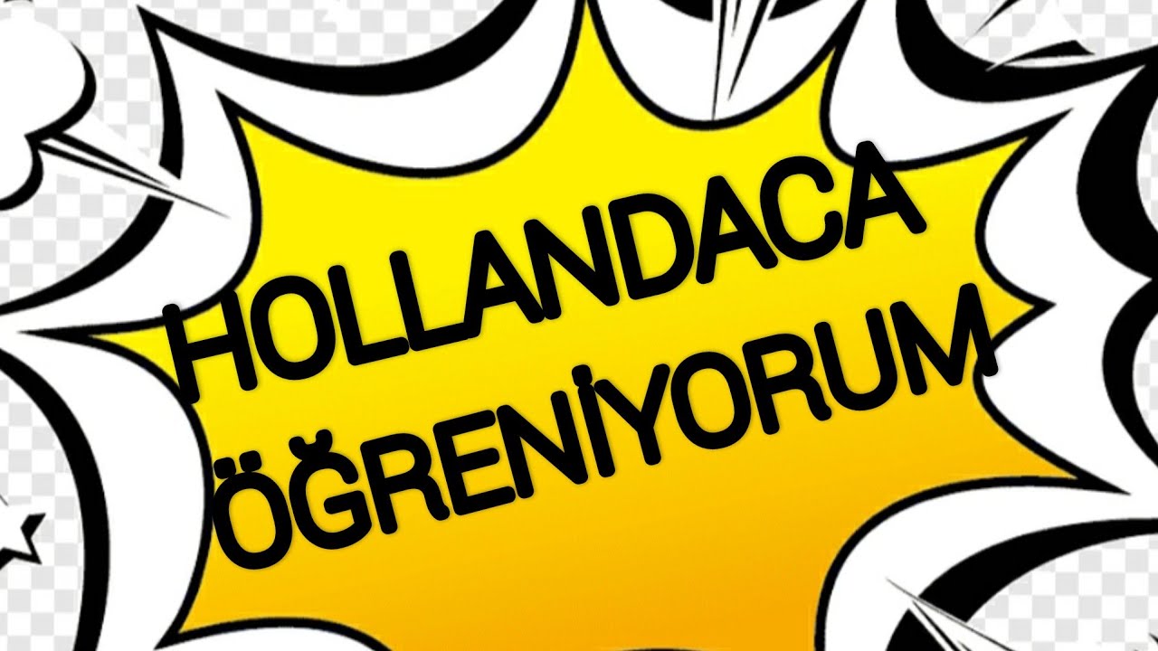 DİL ÖĞRENMEYE YENİ BAŞLAYANLAR İÇİN YOL HARİTASI !