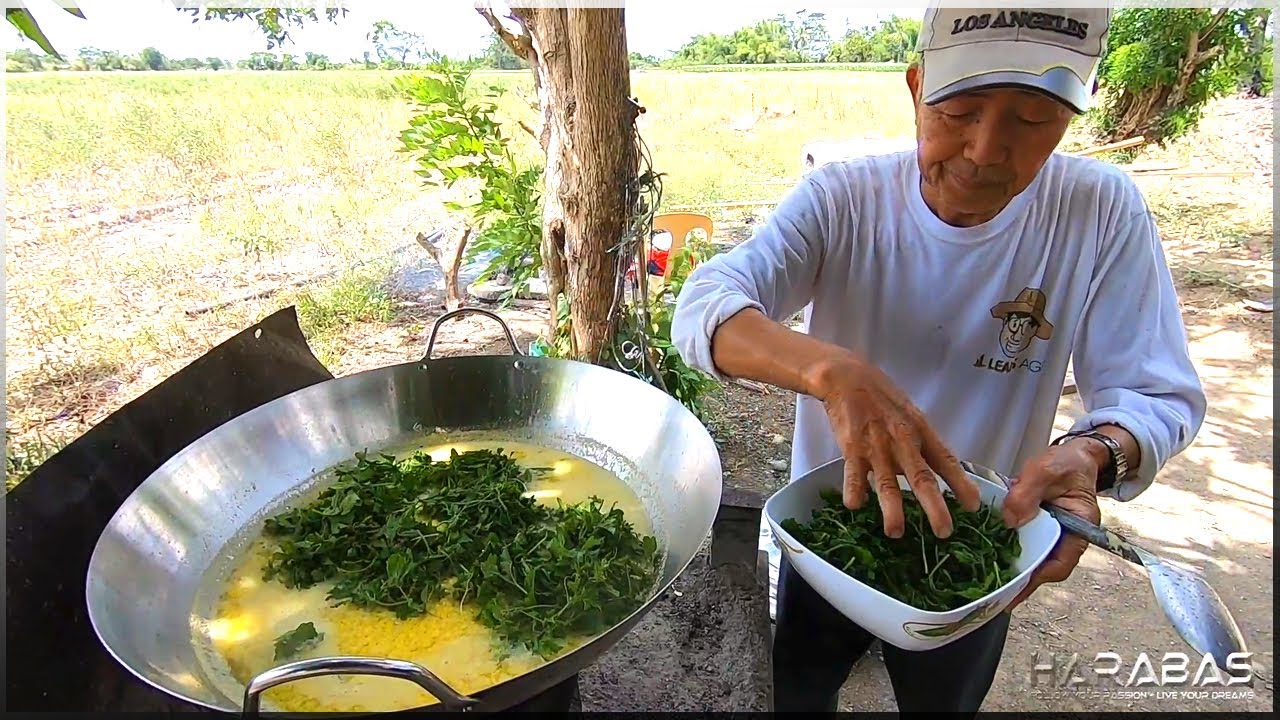 EP252-Part2 - Sweet Corn Harvest and Cook | Ginisang Mais ni Tatang | Occ. Mindoro