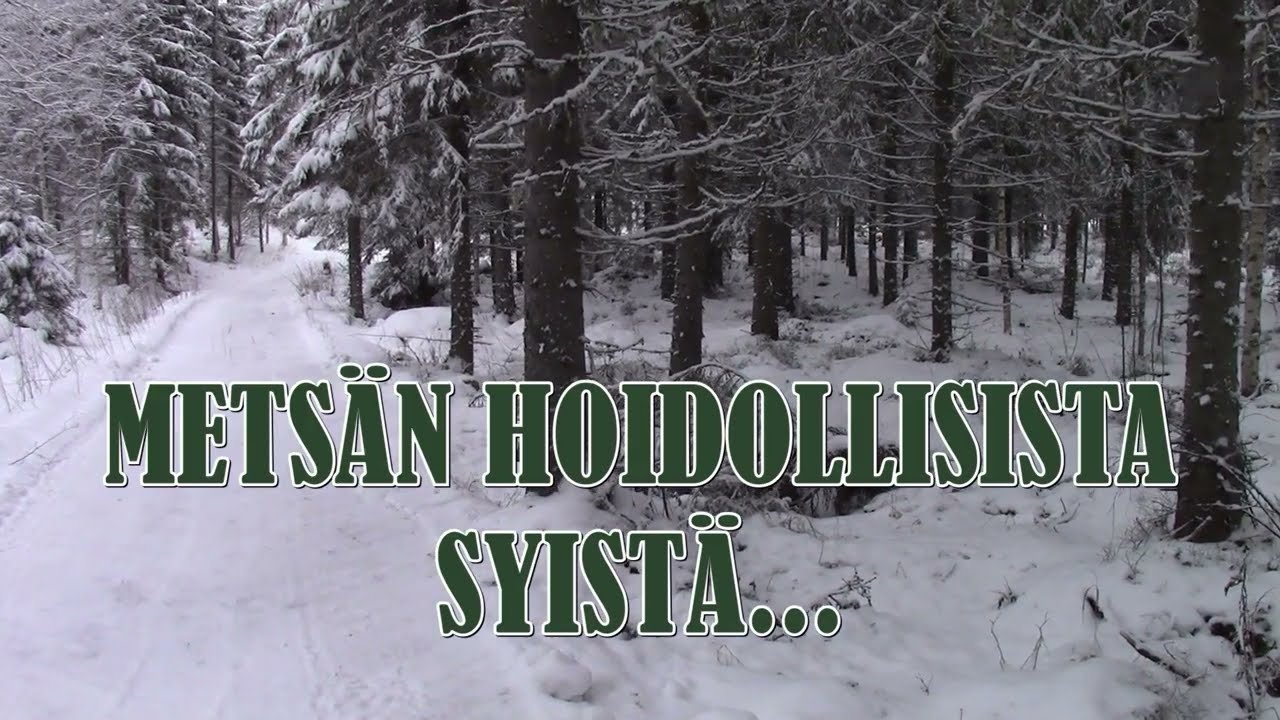 METSÄN HOIDOLLISISTA SYISTÄ...