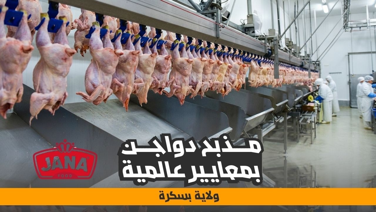 بسكرة تدخل عالم الصناعات الحديثة بمذبح دواجن صديق للبيئة