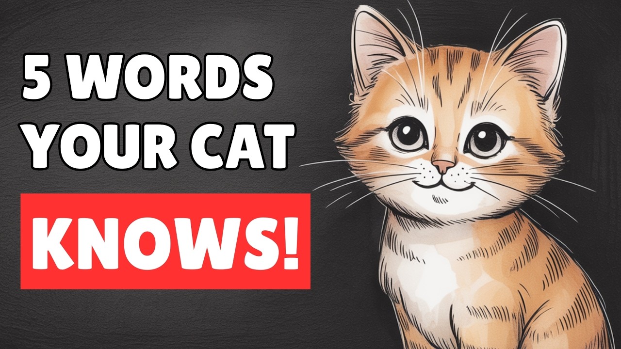 5 Unique Words Your Cat Actually Understands! (Proven by science!)