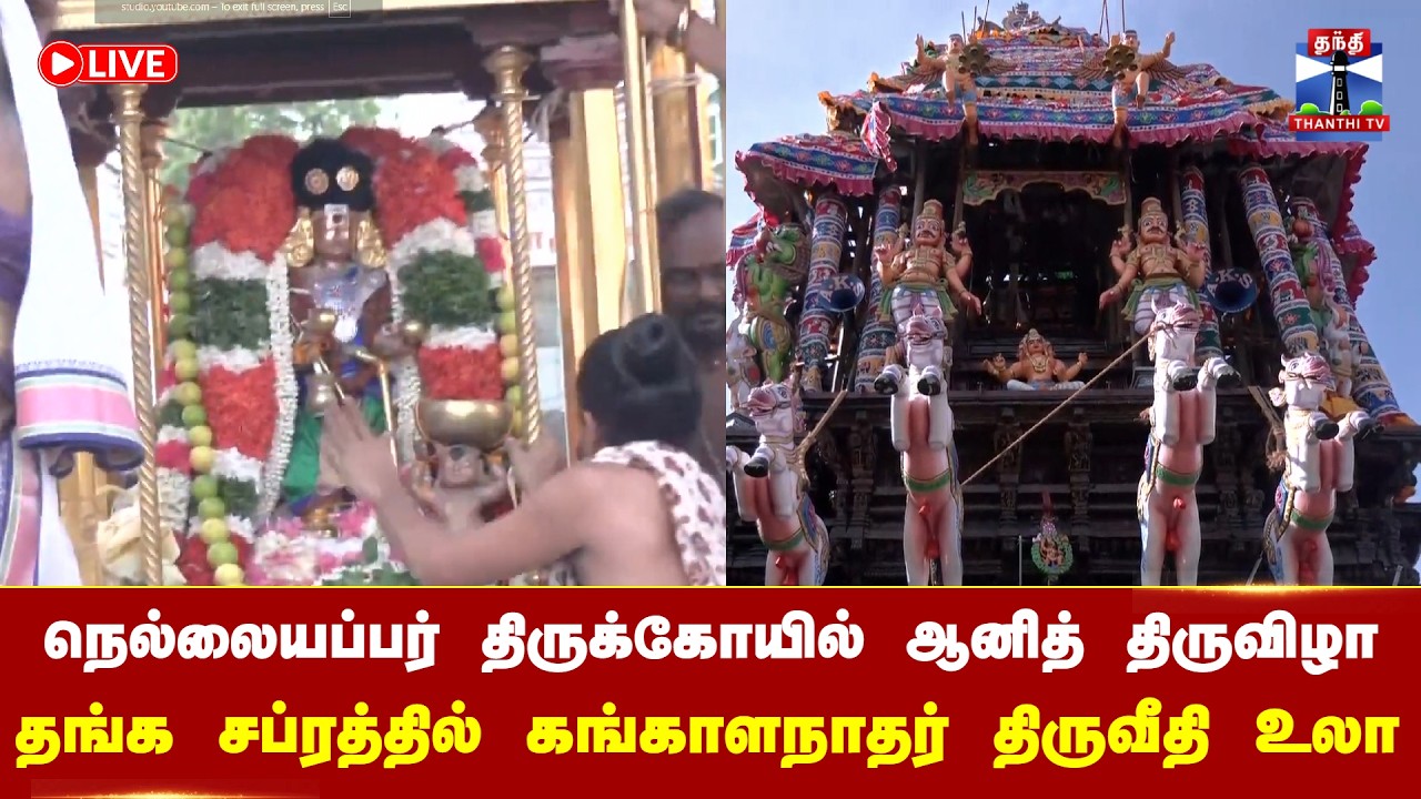 🔴LIVE : Nellaiyappar Temple Festival | நெல்லையப்பர் திருக்கோவில் ஆனித் திருவிழா