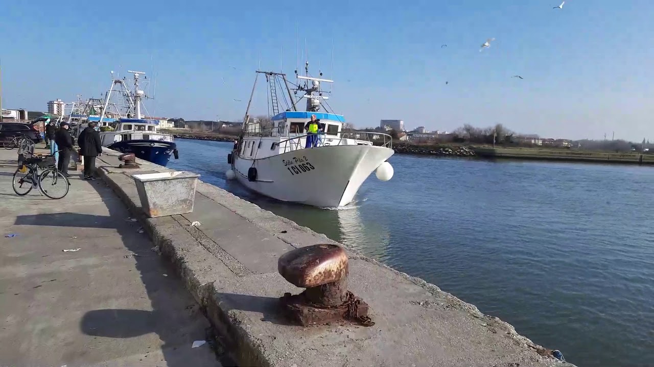 Frittura di paranza , ecco l'arrivo al porto