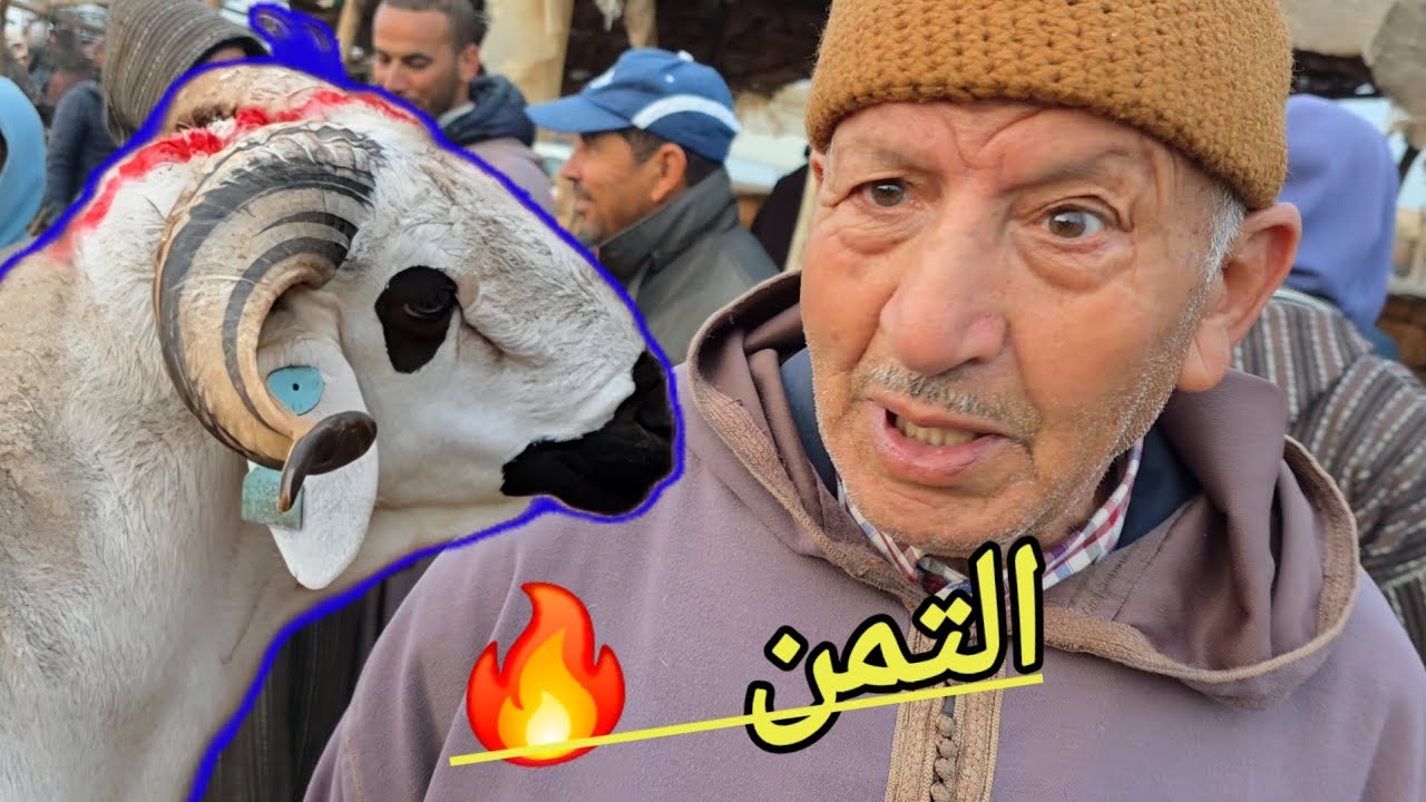 مباشرة من سوق الأربعاء ابني عامر إقليم قلعة سراغنة 18\03\2026مع التمن حولي العيد الأضحى 🐏