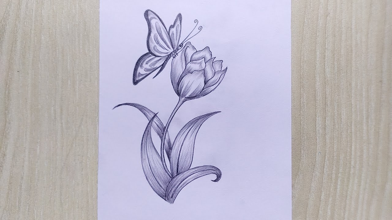 Butterfly sitting on a beautiful flower || Pencil sketch drawing for beginners step by step