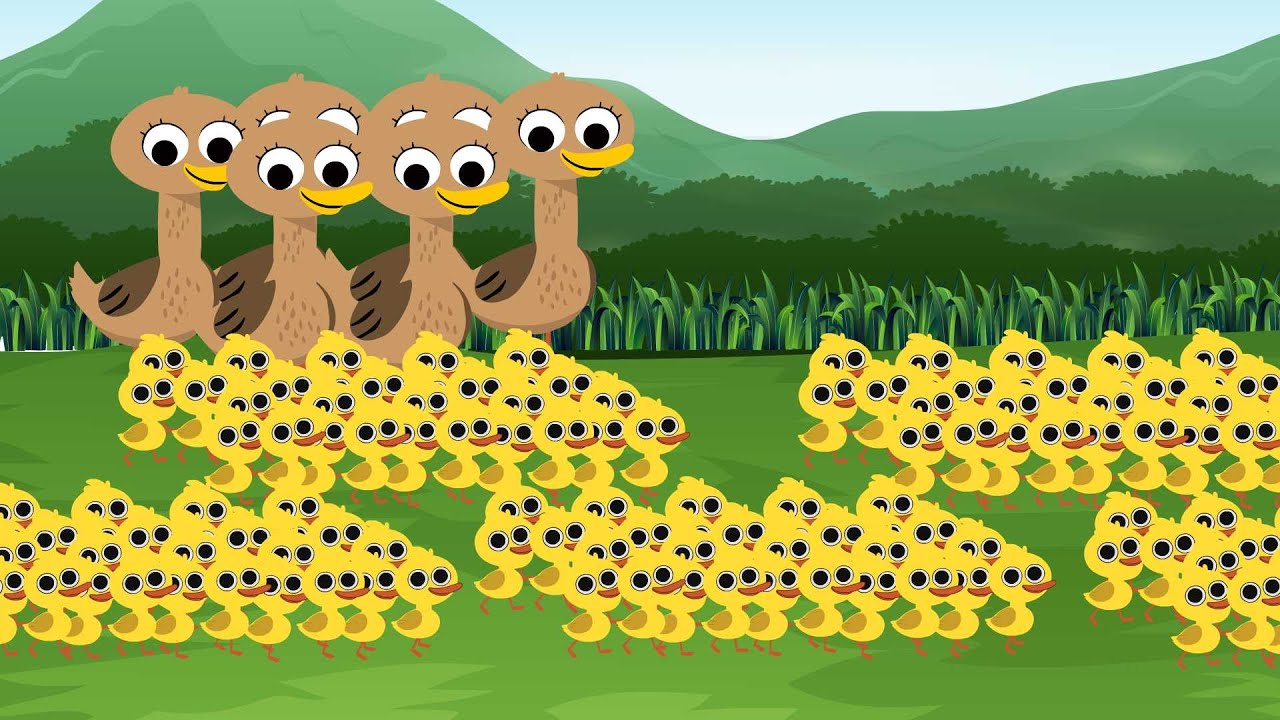 500 Ducks | Playful Learning | Nursery Rhymes & Kids Songs