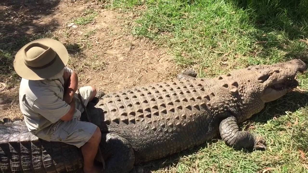 BAREFOOT BUSHMAN (Rob Bredl) RIDING ONE OF HIS CROCODILES