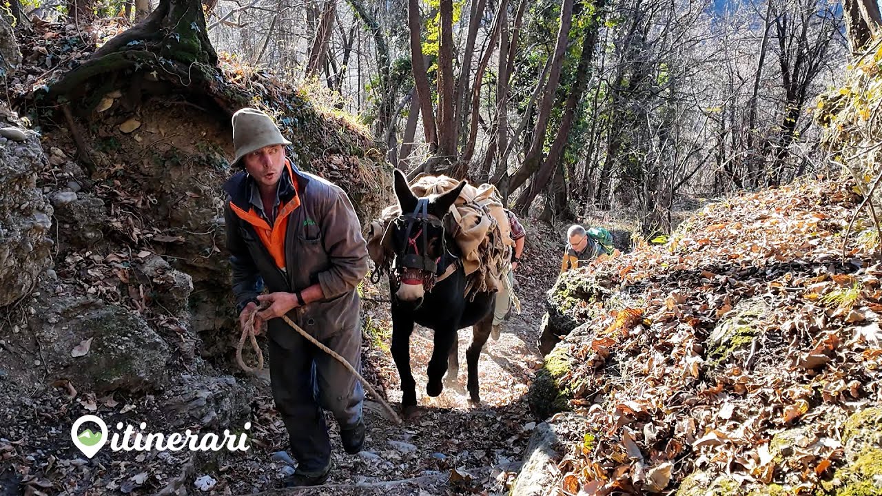 ITINERARI: MARE DI NUVOLE IN GRIGNETTA. PAOLO E SIMONE, LA VITA IN MONTAGNA. IL RIFUGIO CARLO PORTA