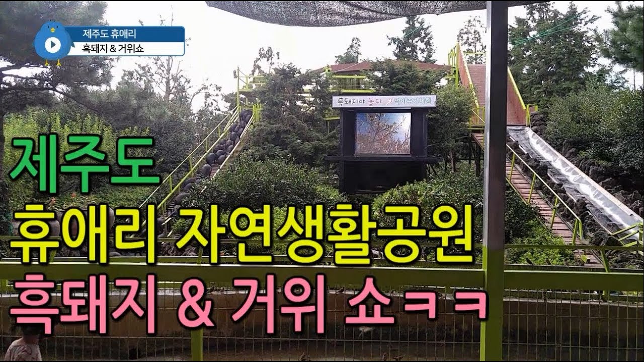 제주도 휴애리 자연생활공원 - 아이와 가볼만한 곳