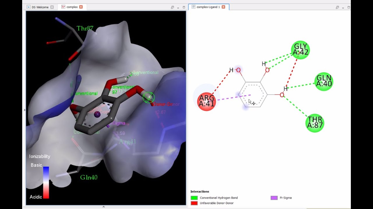 PyRX docking result analysis