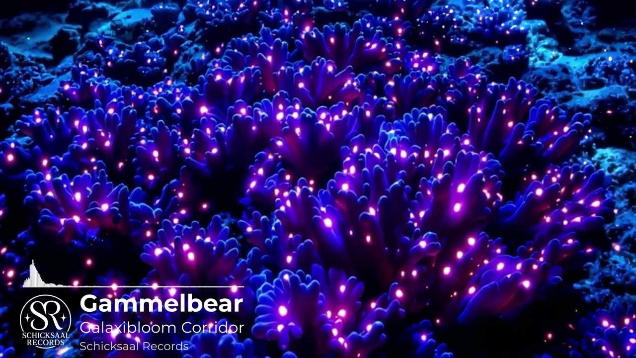 Gammelbear - Galaxibloom Corridor (Schicksaal Records) · Melodic Deep Trance
