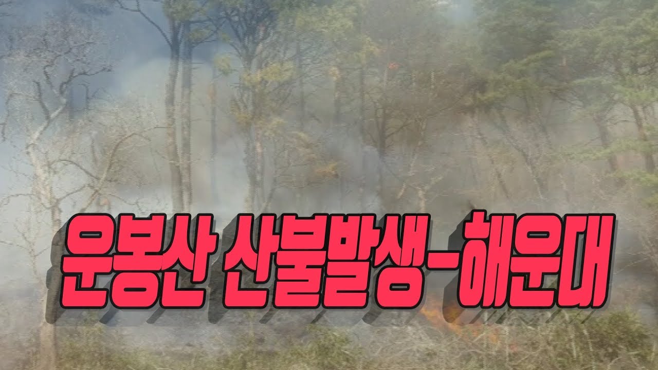 운봉산 산불 강풍에 확산...요양원 환자 대피 (동부산대 뒤)