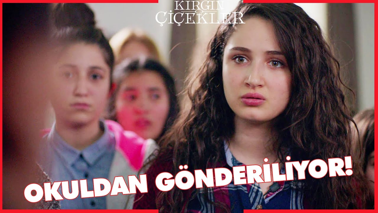 Kırgın Çiçekler Özel Kısa Bölümler | 116