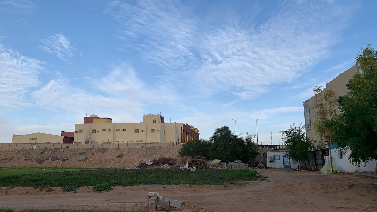 مزارع #الكراث ب #عنيزة (مزرعة العبيد نموذجاً) مباشر