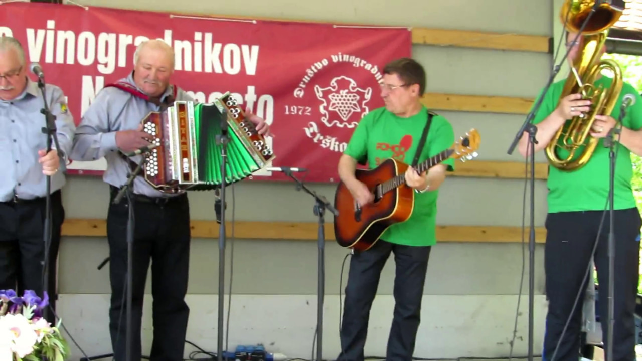 Društvo harmonikarjev Mirna Peč in vsi prisotni - V dolini tihi (v živo)