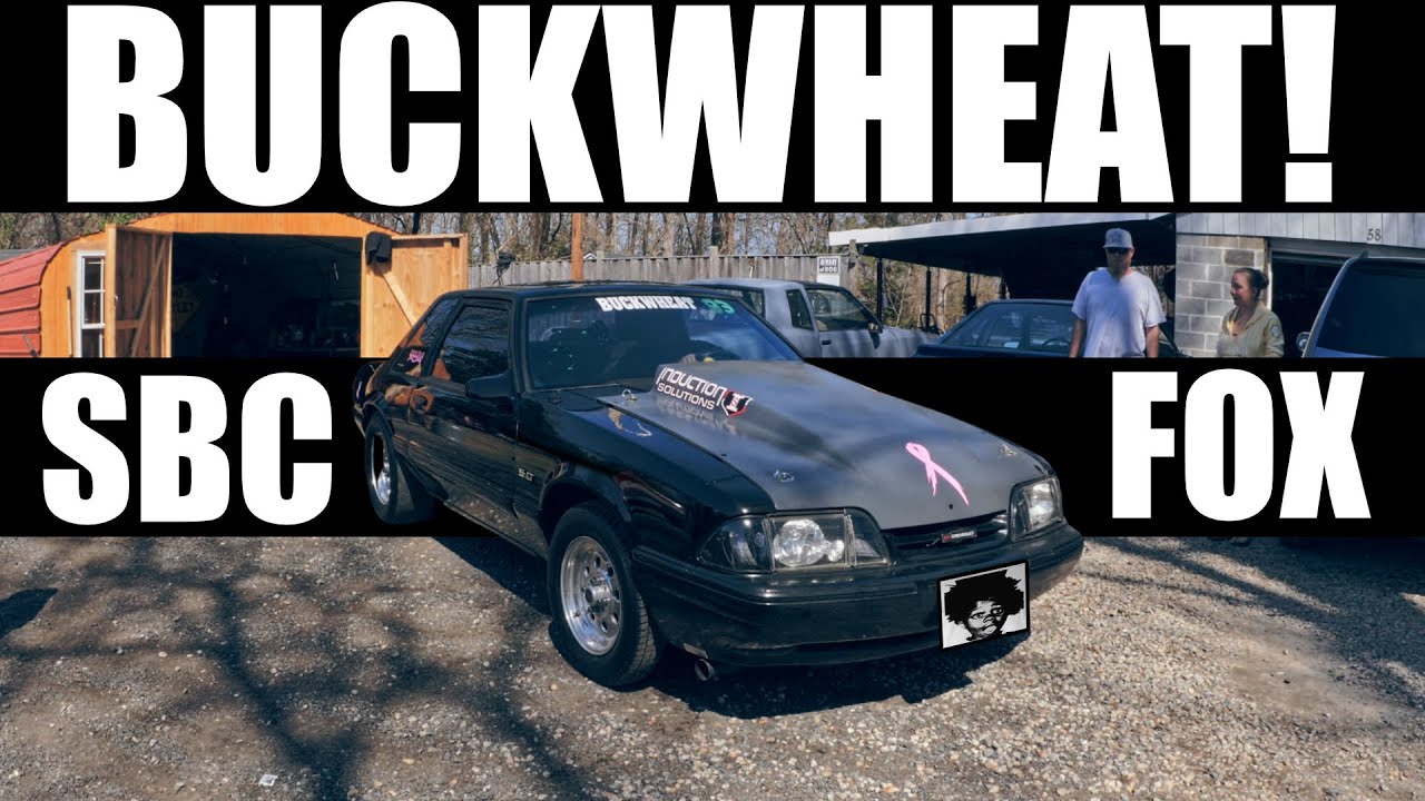 Fox body Mustang with a 350CID SBC named Buckwheat!