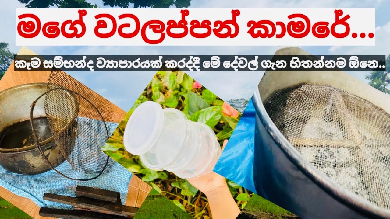 කෑම සම්භන්ද බිස්නස් එකක් කරද්දි ව්‍යාපාරික ස්ථානය හදගන්න විදිය|food Business Room Makeover ☘️❤️