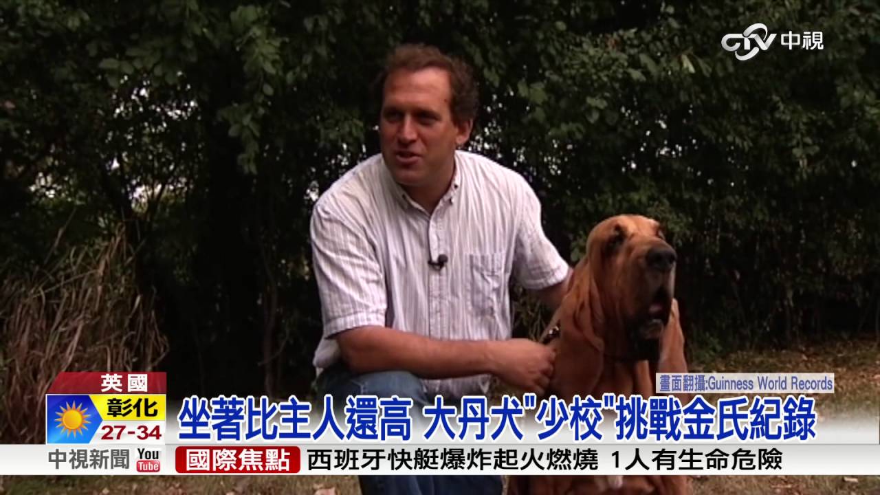 大丹犬身高177.8cm 挑戰世界最高狗│中視新聞20160727