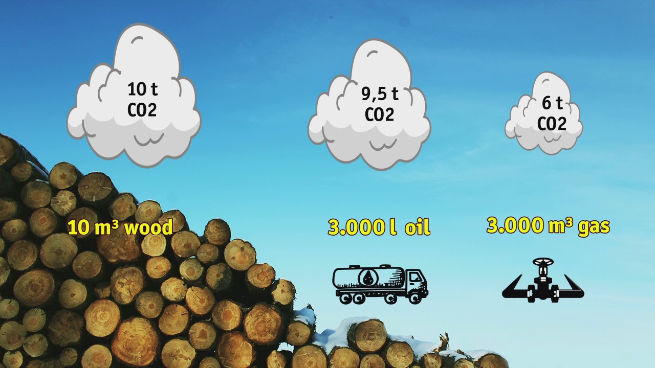 The Calculation Error - or: Why Burning Wood is not Carbon Neutral