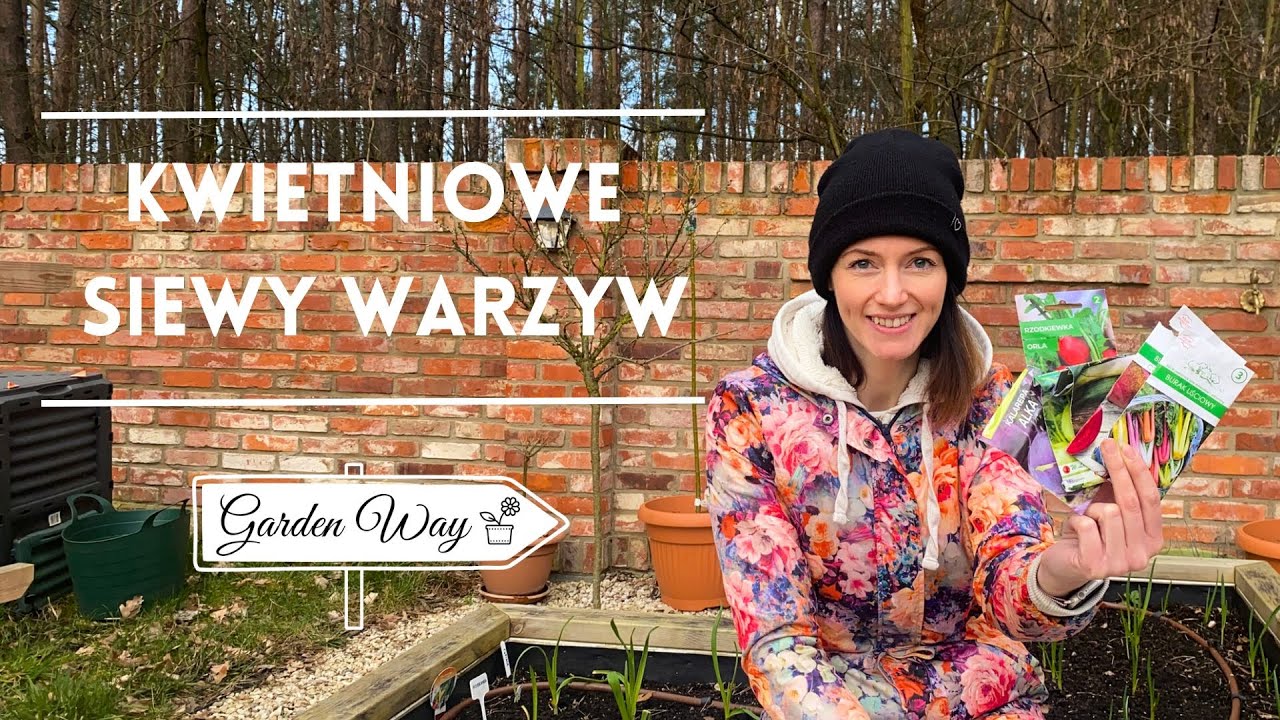 VG #41 Co siać do gruntu w kwietniu? Sieję warzywa na grządki podwyższone.