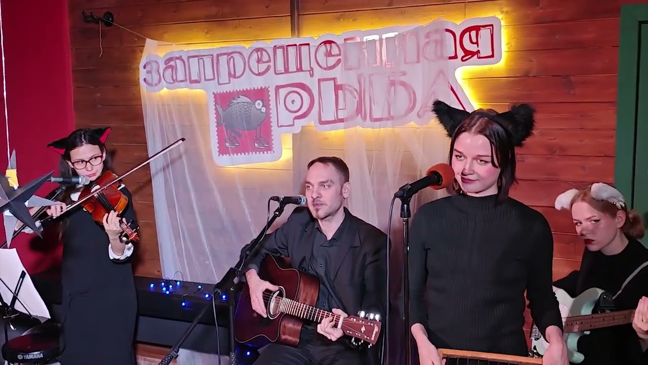 Концерт Котикошек 29.11.24