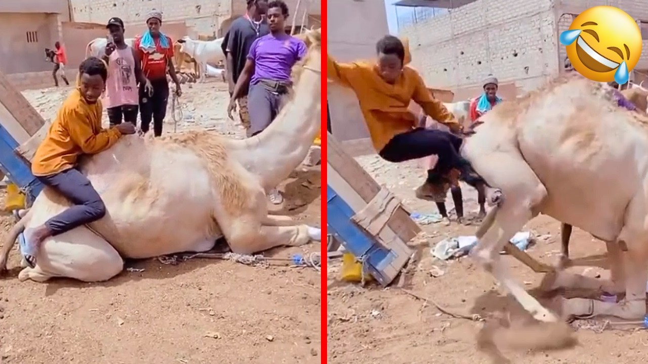 Extreme funny videos you can only see in Africa! 😂 | Part 6