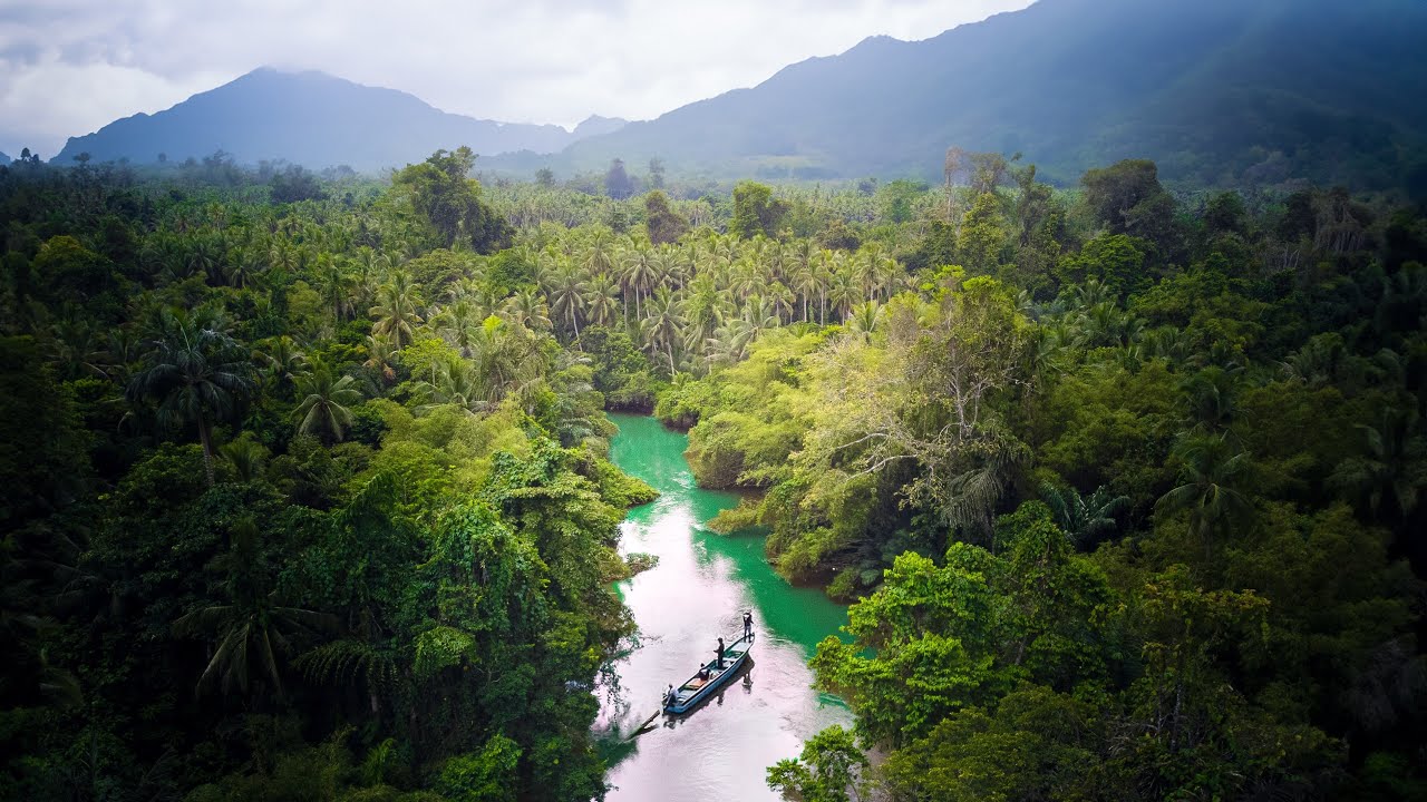 Exploring JUNGLE River for Spottail Bass - Indonesia Ep. 11