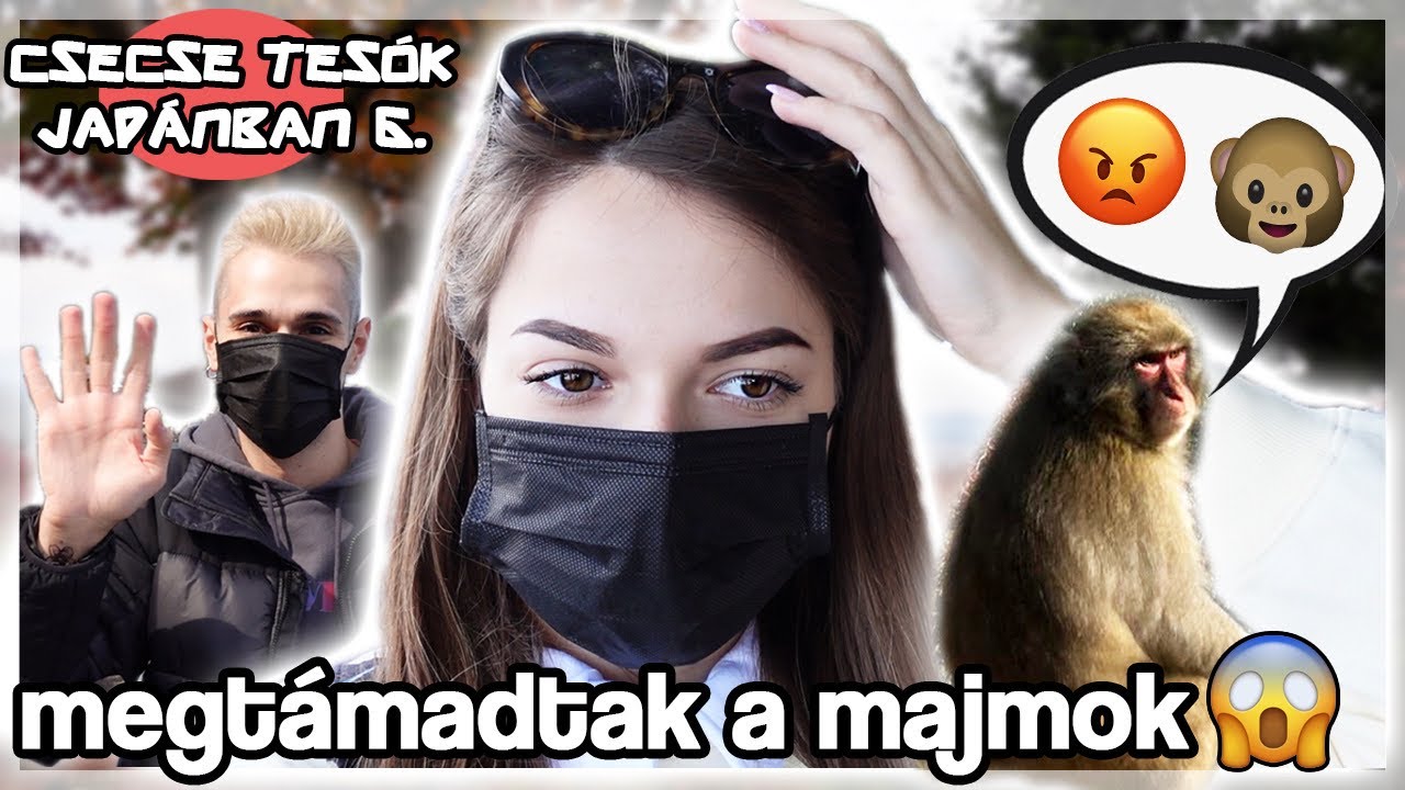 MEGTÁMADTAK A MAJMOK KYOTOBAN 🐵 ✨Ati megőrült, csónakázás✨ | Csecse Tesók Japánban 6.