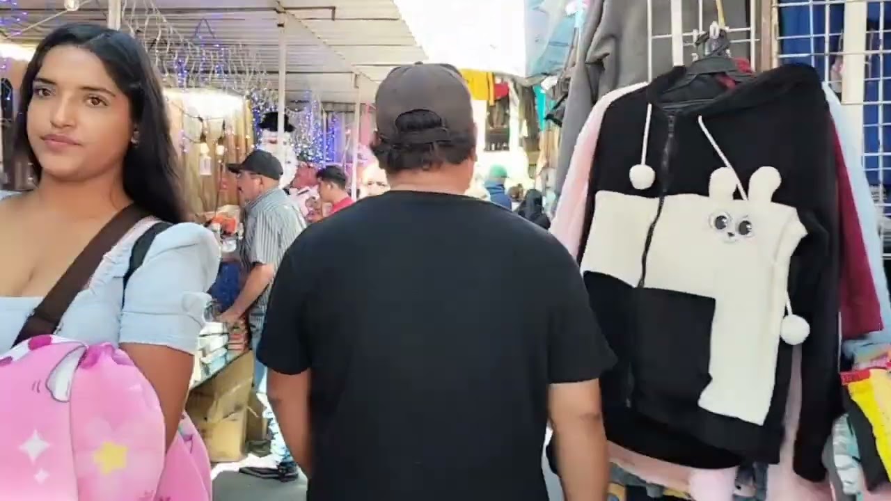 lindo pueblo la barca Jalisco destacado por su rica  birria típica del pueblo y sus tacos de manteca