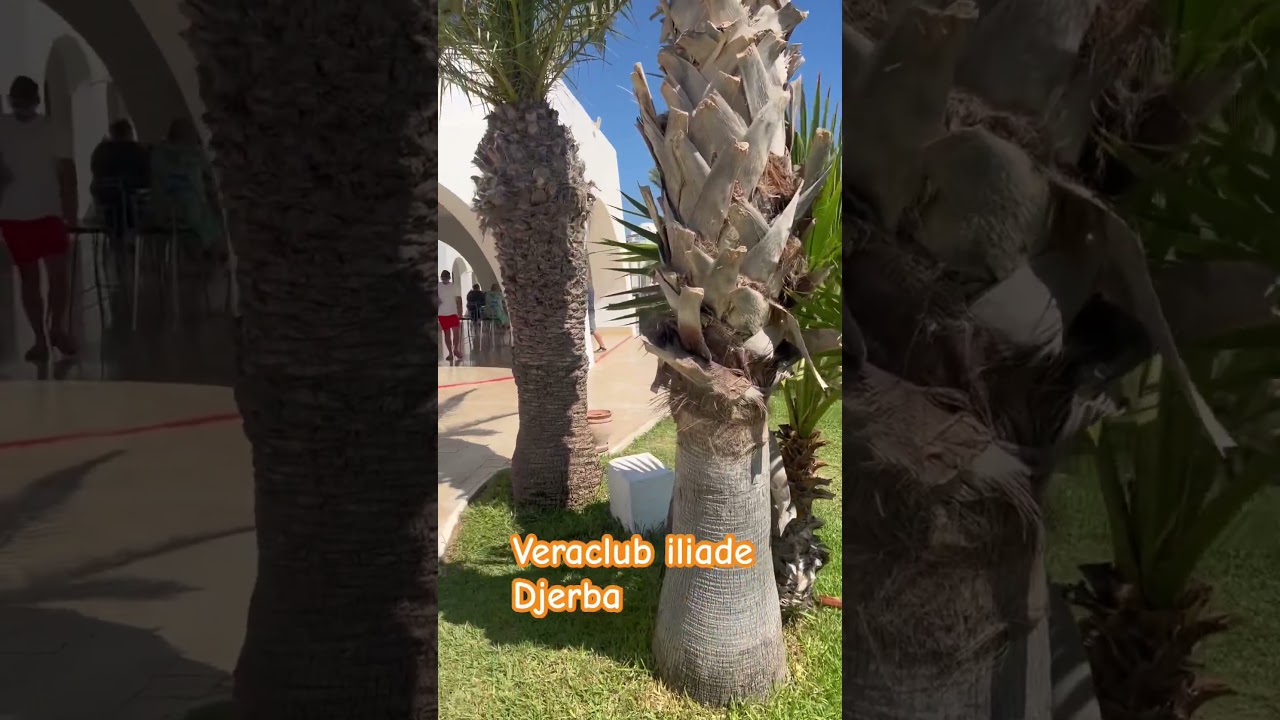 Veraclub Iliade Djerba
